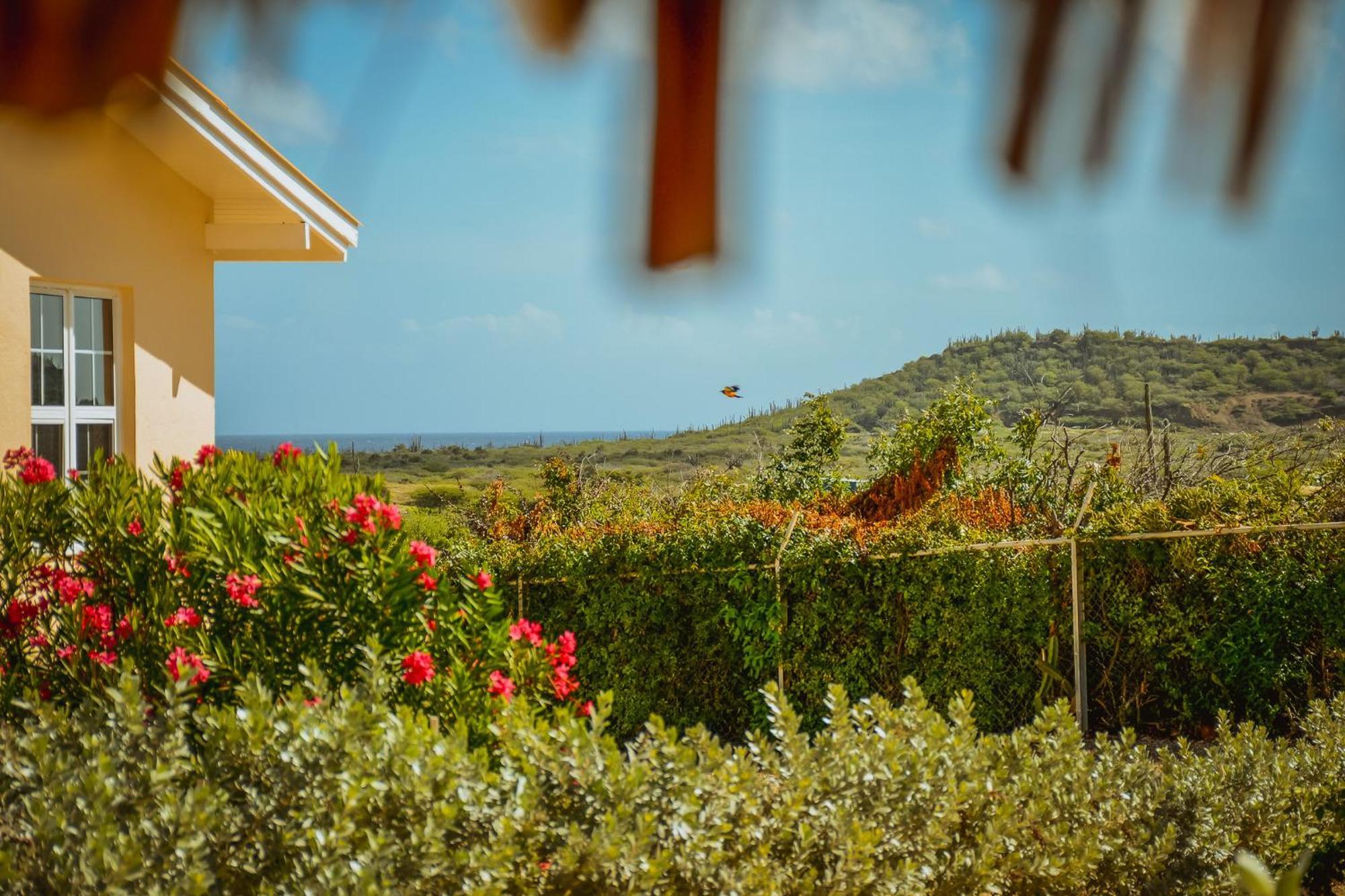 Santa Catharina Resort - Casa Samson Willemstad Zewnętrze zdjęcie
